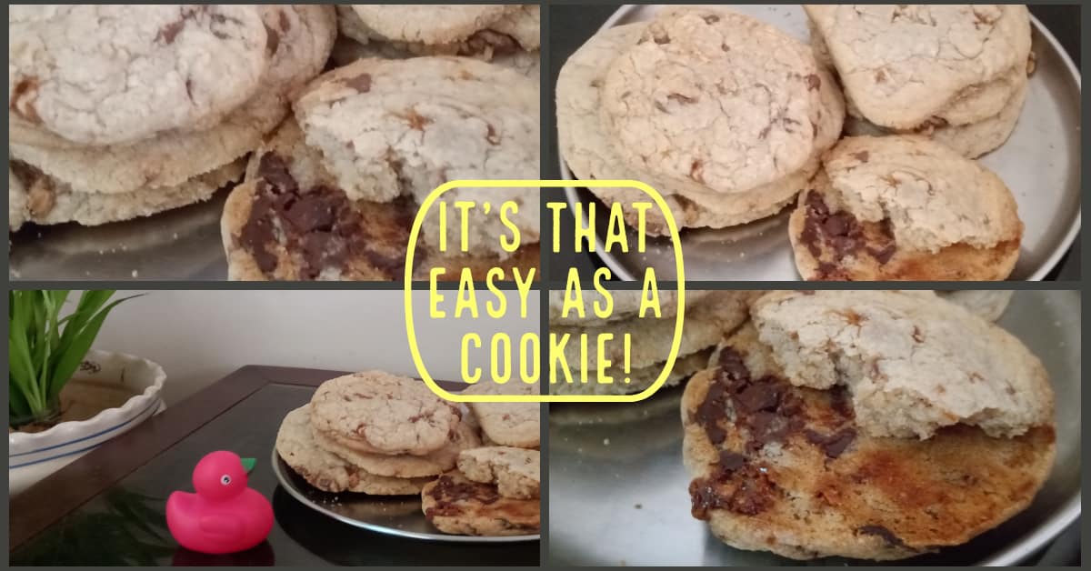 Delicate Chocolate Cookies Easy Recipe