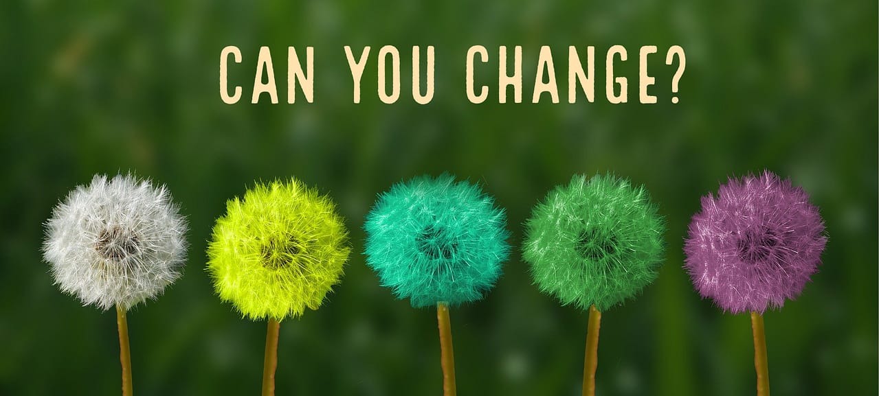 change is the new change